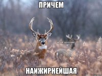 Причем Наижирнейшая