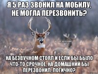 Я 5 раз звонил на мобилу, не могла перезвонить? На безвучном стоял и если бы было что-то срочное, на домашний бы перезвонил, логично?