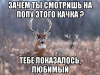 зачем ты смотришь на попу этого качка ? тебе показалось, любимый