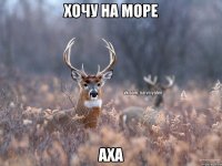 Хочу на море Аха