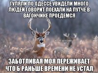 Гуляли по Одессе увидели много людей говорит поехали на Лутче в вагончике проедемся Заботливая моя переживает что б раньше времени не устал