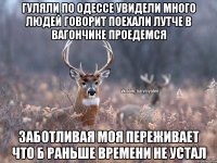 Гуляли по Одессе увидели много людей говорит поехали лутче в вагончике проедемся Заботливая моя переживает что б раньше времени не устал