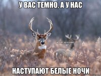 У вас темно, а у нас Наступают белые ночи