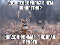 где я тебе врала? в чем конкретно? Нигде любимая, я не прав, прости