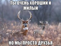 Ты очень хороший и милый Но мы просто друзья