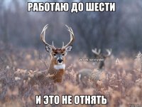 Работаю до шести И это не отнять