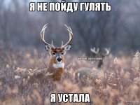 я не пойду гулять я устала