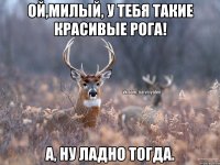 Ой,милый, у тебя такие красивые рога! А, ну ладно тогда.