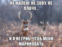 Не жалею, не зову, не плачу... И я не гриб, чтоб меня мариновать