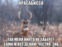 Красабисса Так меня никто не заберет. Сама ж все делаю. Честно. Зкб