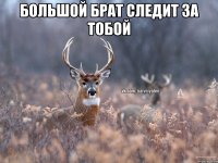 Большой брат следит за тобой 