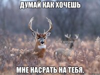 Думай как хочешь мне насрать на тебя.