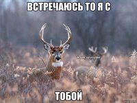 Встречаюсь то я с Тобой