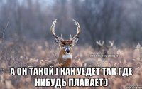  А он такой ) как уедет так где нибудь плавает:)