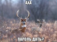 Аха :-* пароль дать?