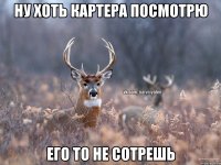 Ну хоть картера посмотрю Его то не сотрешь