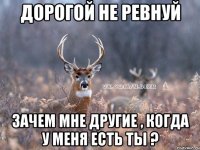 дорогой не ревнуй зачем мне другие , когда у меня есть ты ?