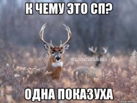 к чему это сп? одна показуха