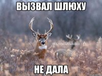 вызвал шлюху не дала