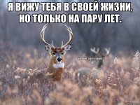 Я вижу тебя в своей жизни, но только на пару лет. 