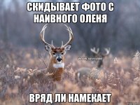 скидывает фото с наивного оленя вряд ли намекает