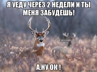 я уеду через 2 недели и ты меня забудешь! а,ну ок !