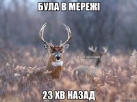 Була в мережі 23 хв назад