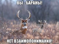 Вы - бараны! Нет взаимопонимания!