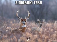 Я люблю тебя :-*