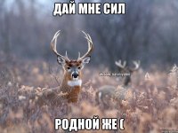 Дай мне сил Родной же (