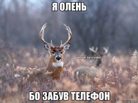 Я олень Бо забув телефон