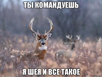 ты командуешь Я шея и все такое