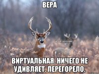 вера виртуальная. ничего не удивляет. перегорело.