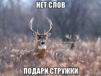 нет слов подари стружки