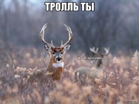 тролль ты 