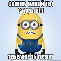 Сашка, какой ты СТАРЫЙ!!! Тебе уже 15 лет!!!!