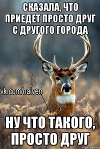 Сказала, что приедет просто друг с другого города ну что такого, просто друг