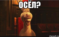 ОСЁЛ? 