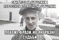 Саня піде на шашлики і поросенок Боря піде на шашлики похожі фрази, но які разні судьби