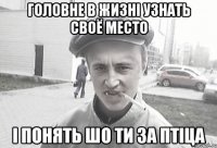 головне в жизні узнать своё место і понять шо ти за птіца