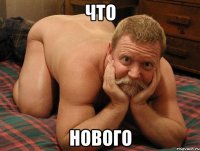 Что Нового