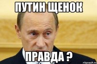 Путин щенок Правда ?