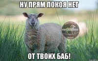 ну прям покоя нет от твоих баб!