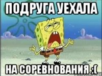 Подруга уехала на соревнования :(