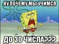 ну почему мы учимся до 30 числа???