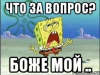 Что за вопрос? Боже мой ..