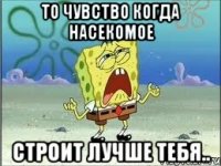 То чувство когда насекомое строит лучше тебя..