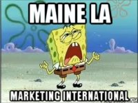 maine la MARKETING INTERNATIONAL