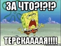 ЗА ЧТО?!?!? ТЕРСКААААЯ!!!!