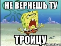 НЕ ВЕРНЕШЬ ТУ ТРОИЦУ